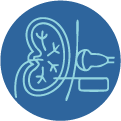 Kidney Biopsy